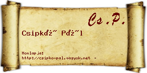 Csipkó Pál névjegykártya